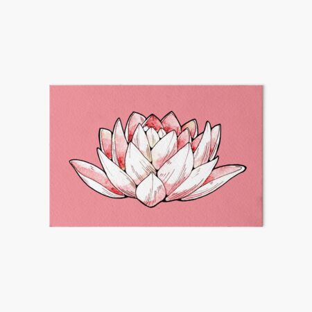 Lotus Flower - Watercolours and Ink Illustration Art Board Print