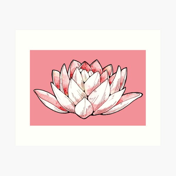 Lotus Flower - Watercolours and Ink Illustration Art Print