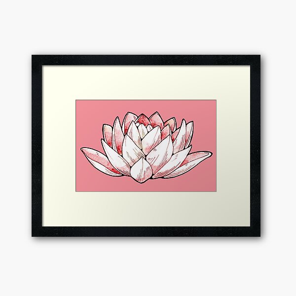 Lotusblume - Aquarelle und Tintenillustration Gerahmter Kunstdruck