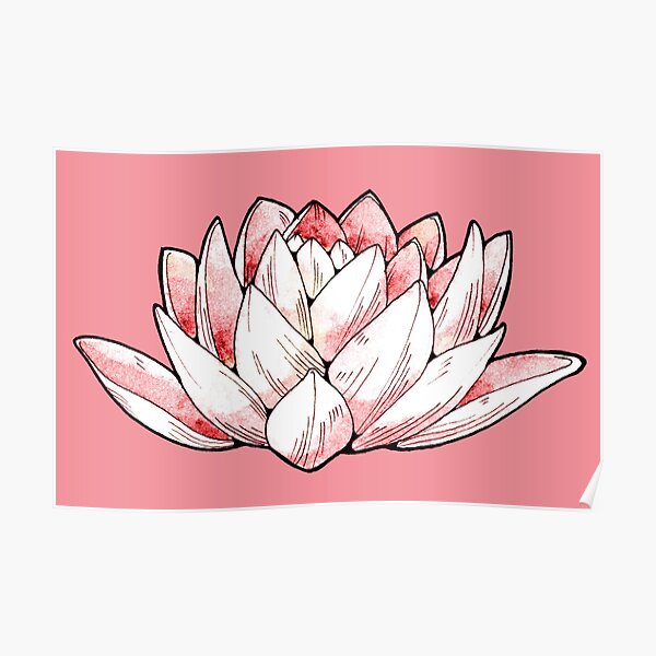 Lotus Flower - Watercolours and Ink Illustration Poster