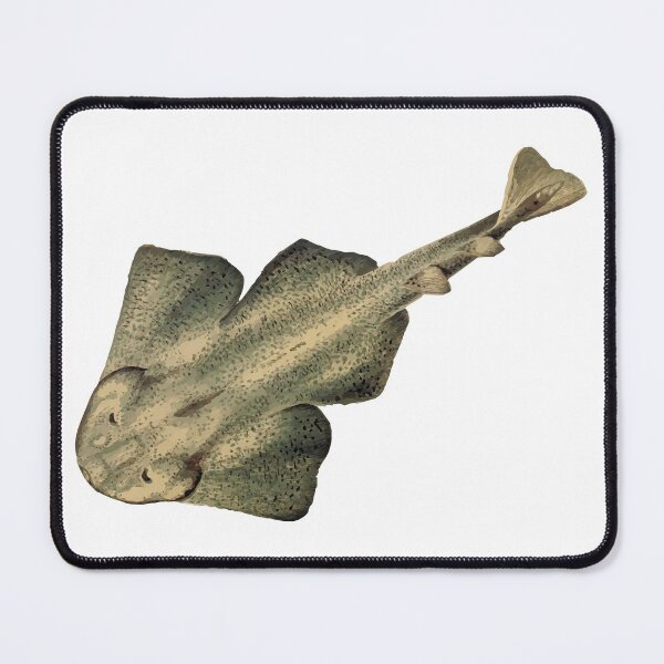 Item preview, Angel Shark designed and sold by Dobsy.