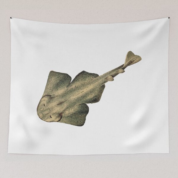 Item preview, Angel Shark designed and sold by Dobsy.