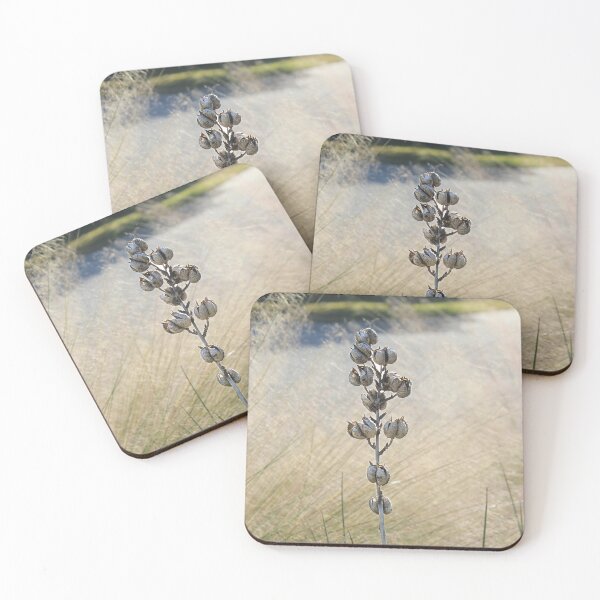Item preview, Dried Seed Pods from the Red Yucca Plant designed and sold by Rennie Palmer.