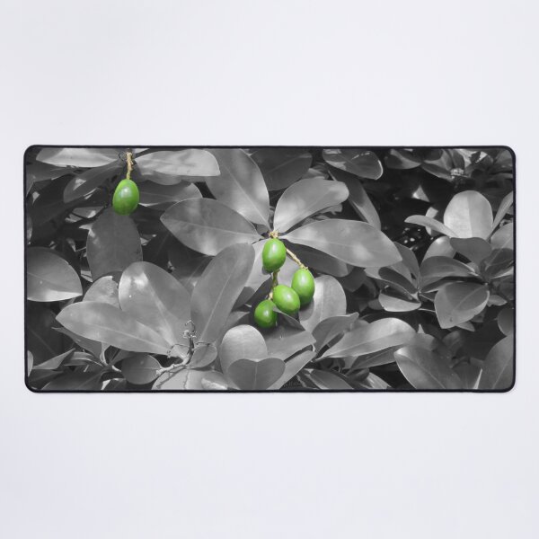 Item preview, Macadamia nuts on black and white background designed and sold by AHELENE.