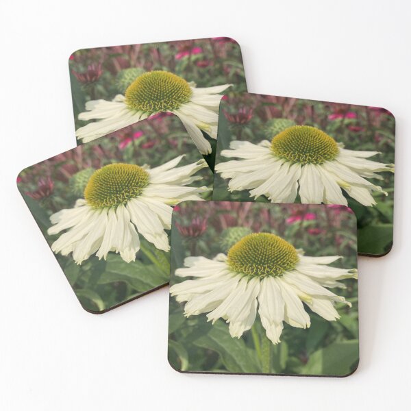 Item preview, Cream Echinacea Flower Photography designed and sold by OByD.