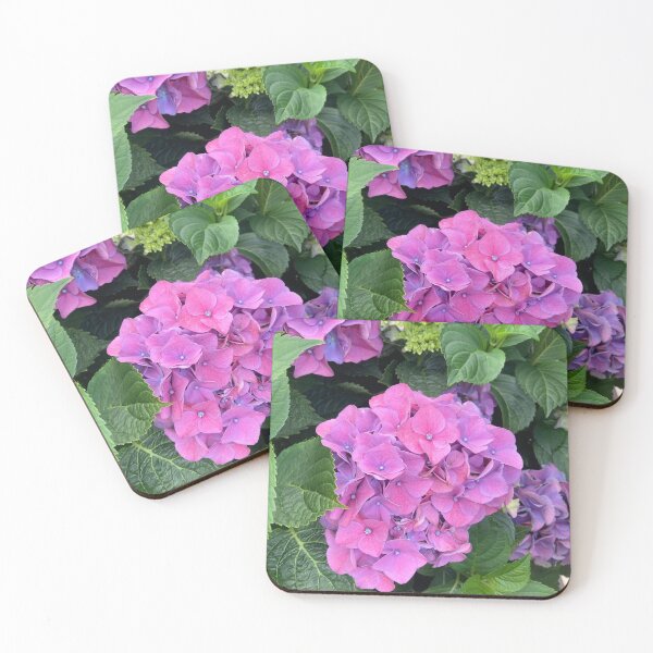 Item preview, Hydrangea Flower Photography designed and sold by OByD.