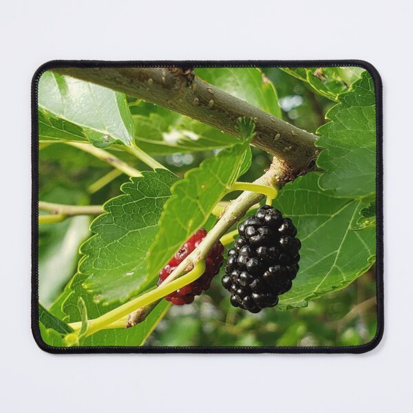 Item preview, Mulberry Tree designed and sold by AbicArtsStudio.