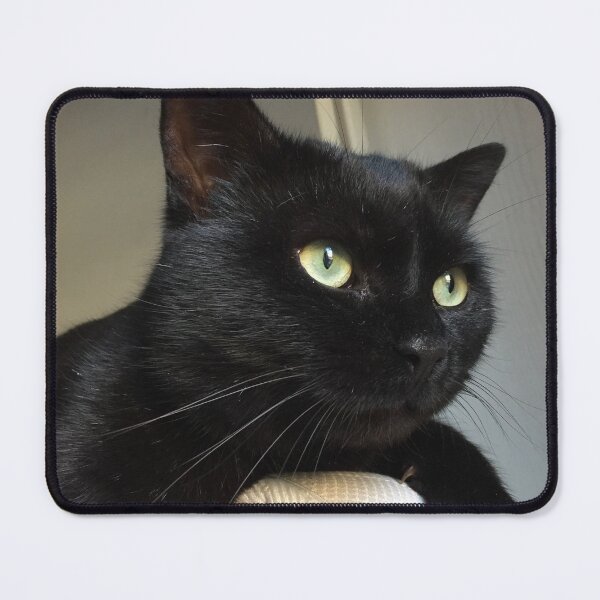 Item preview, Crockett designed and sold by AHELENE.