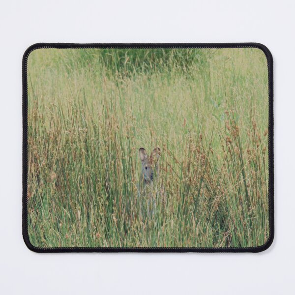 Item preview, Kangaroo playing hide and seek designed and sold by AHELENE.