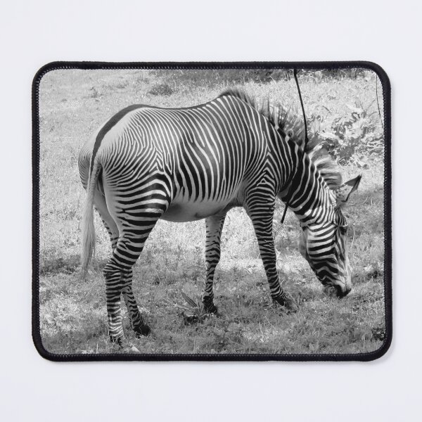 Item preview, Zebre designed and sold by AHELENE.