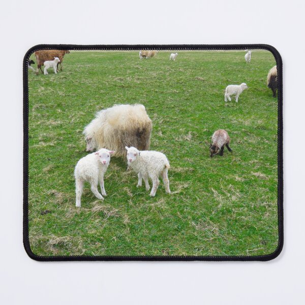 Item preview, Lambs and sheeps designed and sold by AHELENE.