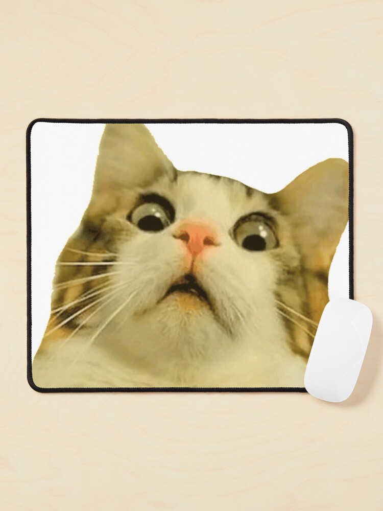 Crying Cat Memes Mouse Pad Non-Slip Rubber Base Gaming Mousepad Accessories  Animal Office Decor Cover Computer PC Table Mat - AliExpress