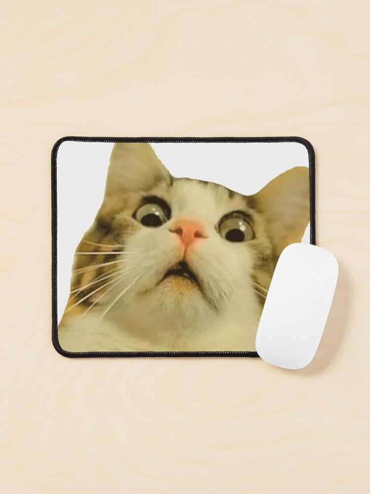 Funny cat meme face' Mouse Pad