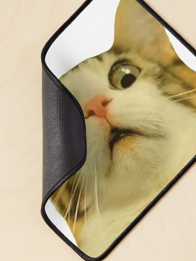 Funny cat meme face' Mouse Pad