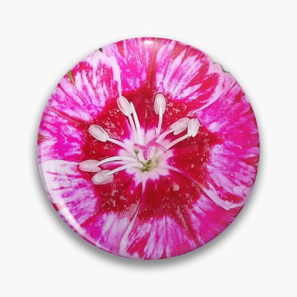 Item preview, Sweet William  designed and sold by AmandaFaye99.