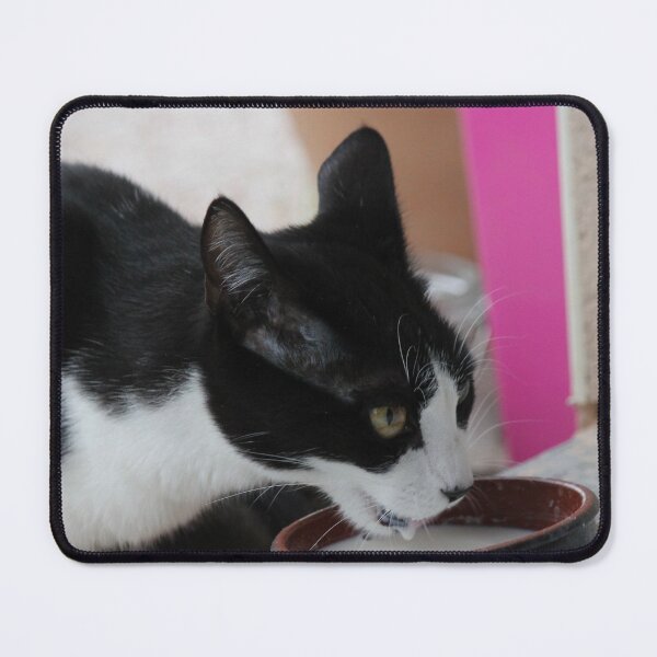 Item preview, Baby cat designed and sold by AHELENE.