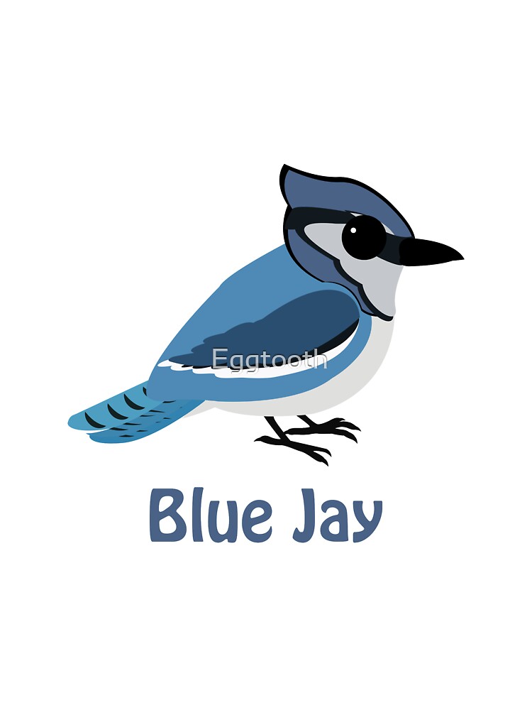 Baby Blue Jay Kids T Shirt By Eggtooth Redbubble