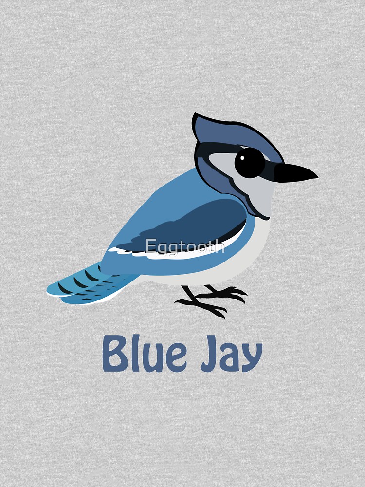 Baby Blue Jay by Eggtooth