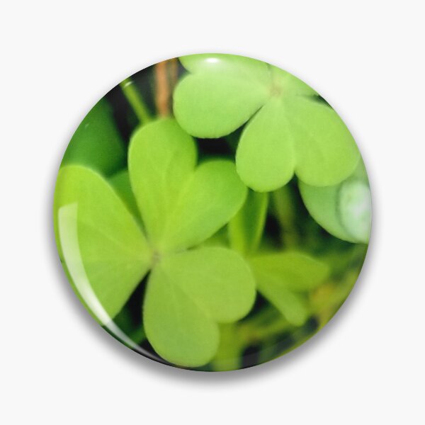 Item preview, Clovers  designed and sold by AmandaFaye99.