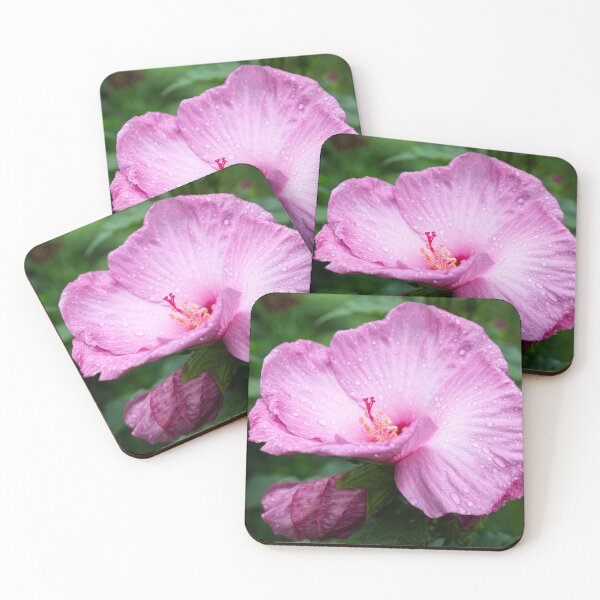 Item preview, Pink Hibiscus 3-2021 designed and sold by Thomasyoung.