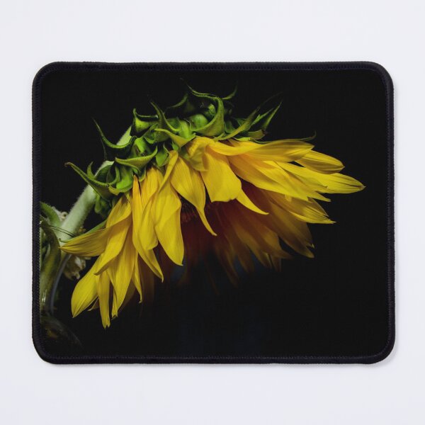 Item preview, Hanging Out designed and sold by louise reeves.