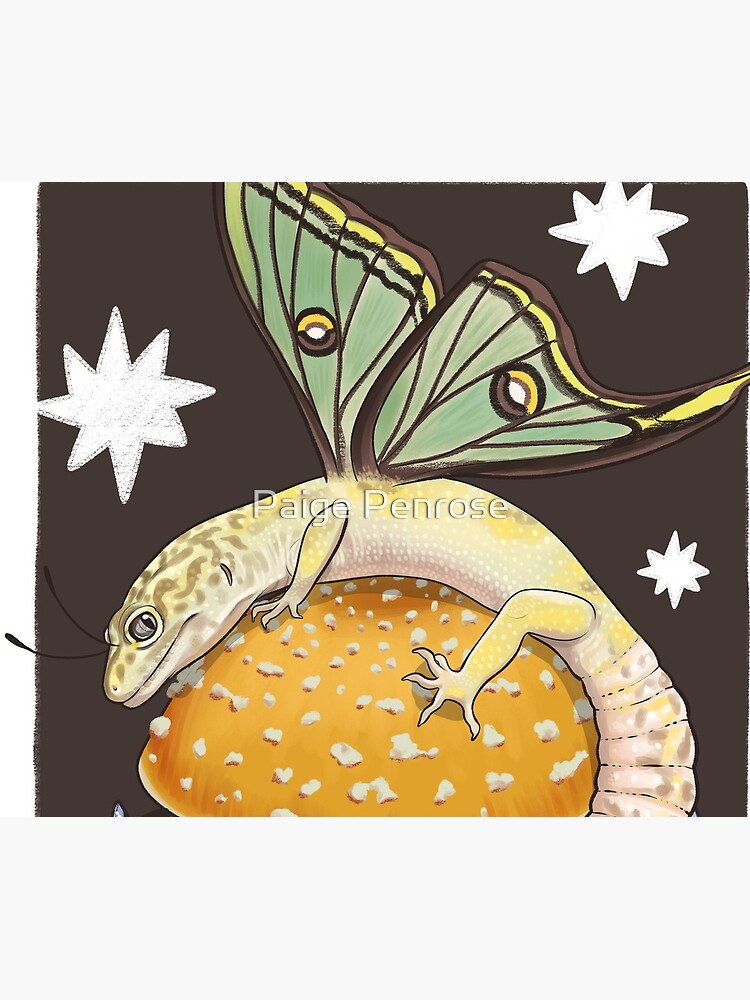 Fairy Leopard Gecko with Spanish Moon Moth Wings on a Yellow Fly
