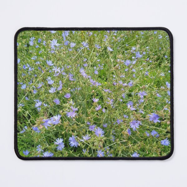 Artikelvorschau, Lila Wildblumen entworfen und verkauft von ElphCreations.