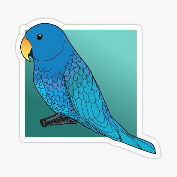 Item preview, Blue eclectus designed and sold by DragonArtist15.