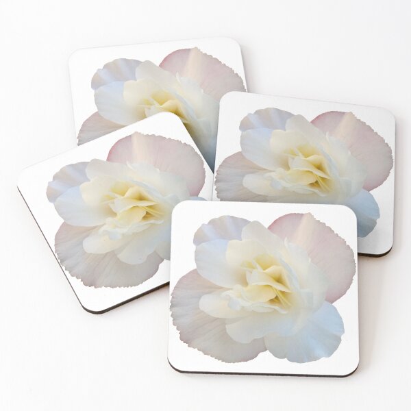 Item preview, White Begonia Flower Still Life Floral Photography designed and sold by CottoVerdi.