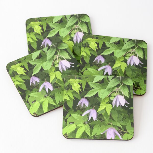 Item preview, Clematis designed and sold by Greengardens36.