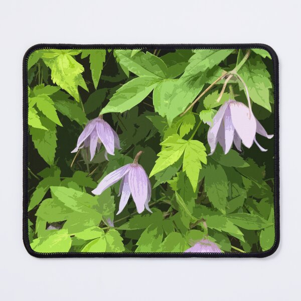 Item preview, Clematis designed and sold by Greengardens36.