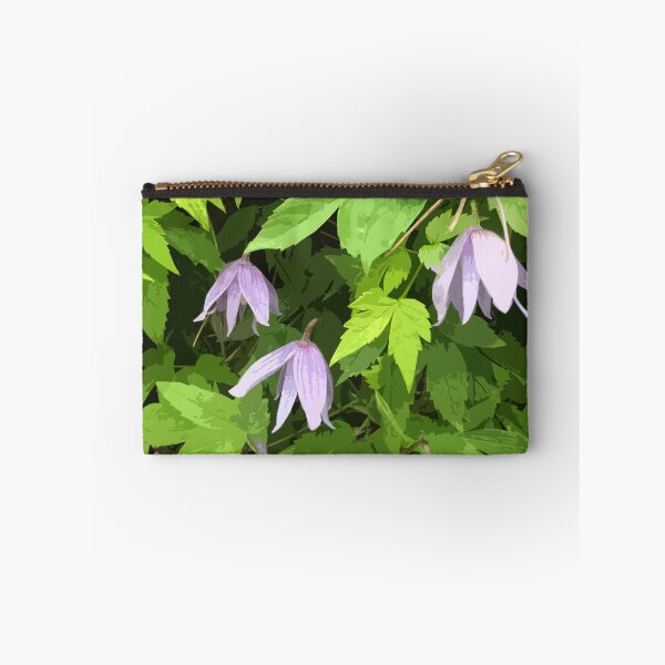 Item preview, Clematis designed and sold by Greengardens36.