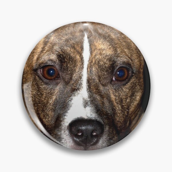 Item preview, Bella designed and sold by Clive.