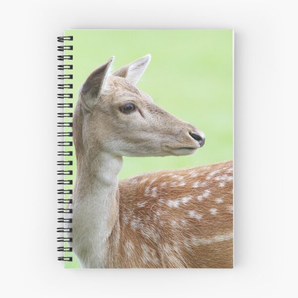 Item preview, Deer too designed and sold by RosaMarieAshby.