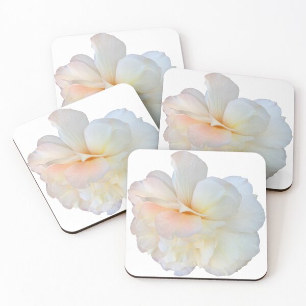 Item preview, White Begonia Flower Still Life Floral Photography designed and sold by CottoVerdi.