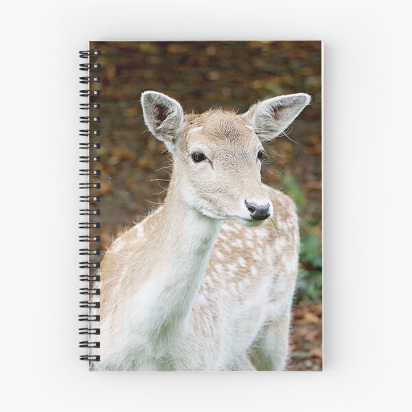 Item preview, Deer  designed and sold by RosaMarieAshby.