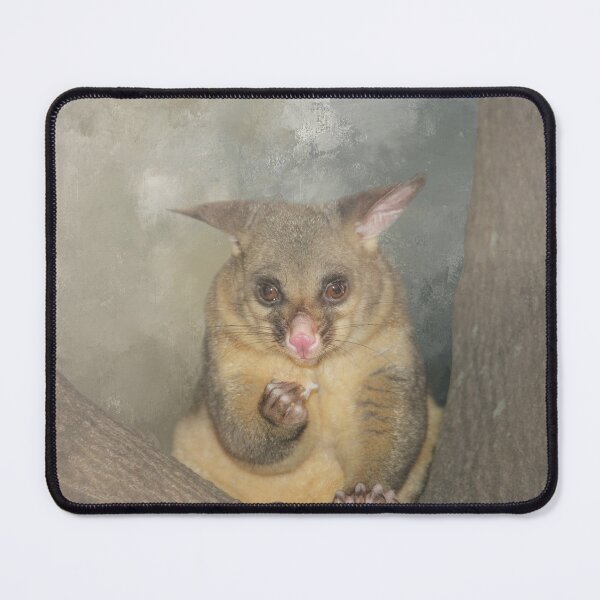 Item preview, Common Brushtail Possum One designed and sold by Elisabeth Lucas.