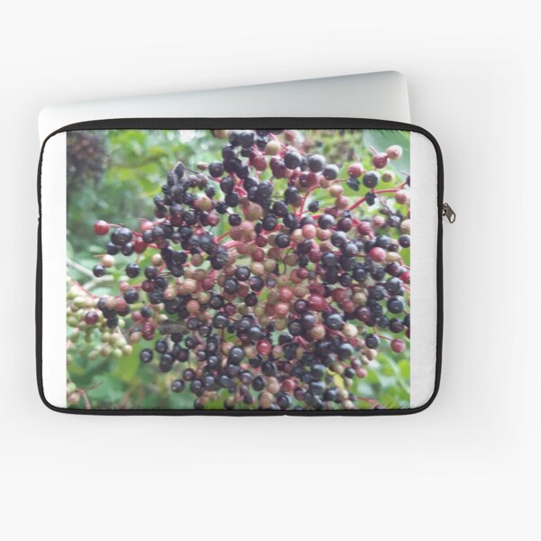 Item preview, Black Berries designed and sold by WKeleny2.