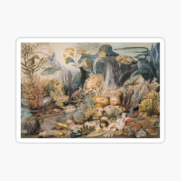 James M. Sommerville - Ocean Life Sticker
