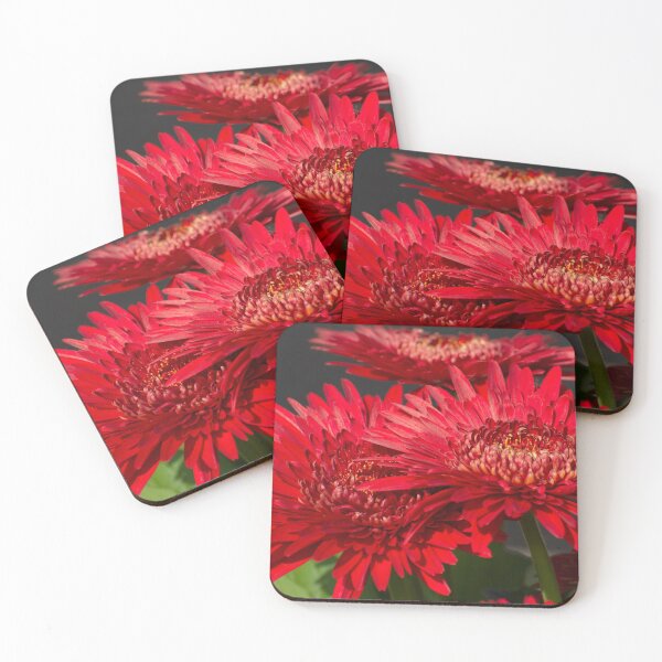 Item preview, Red Gerberas designed and sold by Zina Stromberg.