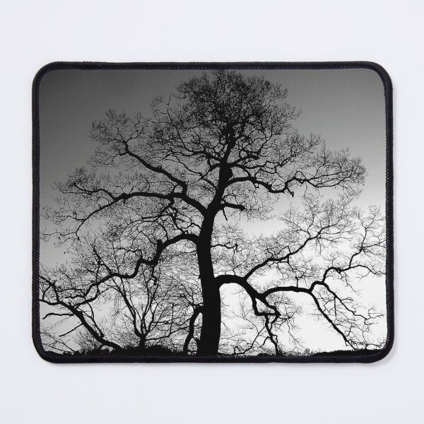 Item preview, Naked Tree designed and sold by Jean Gregory Evans.