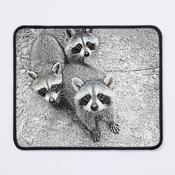 Item preview, Which One Is The Cutest? designed and sold by Jean Gregory Evans.