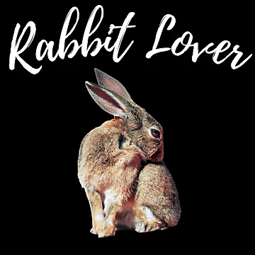 Artwork thumbnail, Adorable Rabbit by 37jlee
