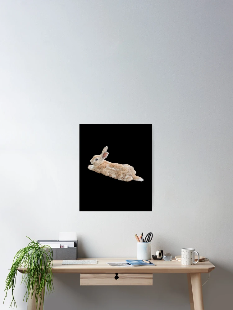 Thumbnail 2 of 3, Poster, Cute Rabbit designed and sold by 37jlee.