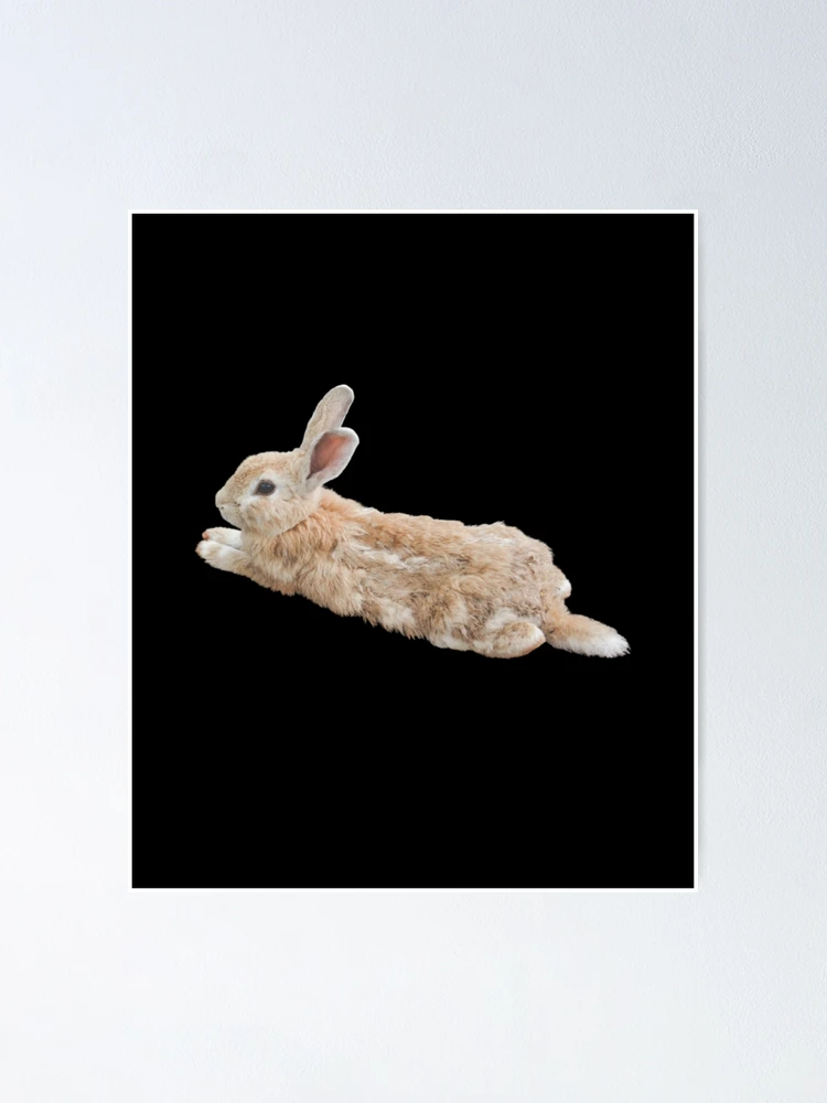 Thumbnail 1 of 3, Poster, Cute Rabbit designed and sold by 37jlee.