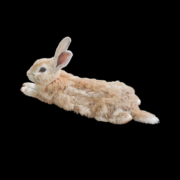 Artwork thumbnail, Cute Rabbit by 37jlee