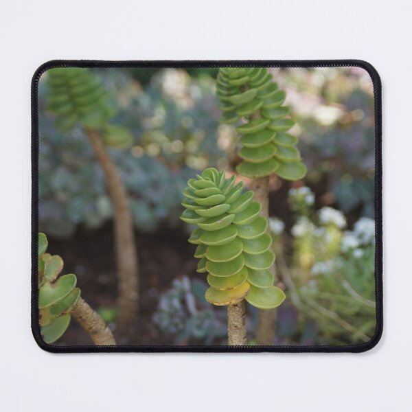 Item preview, Cool Plants designed and sold by edenjoy-designs.