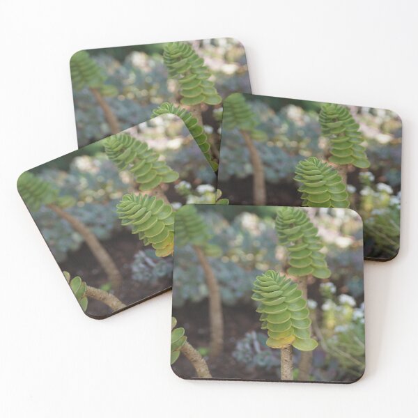 Item preview, Cool Plants designed and sold by edenjoy-designs.