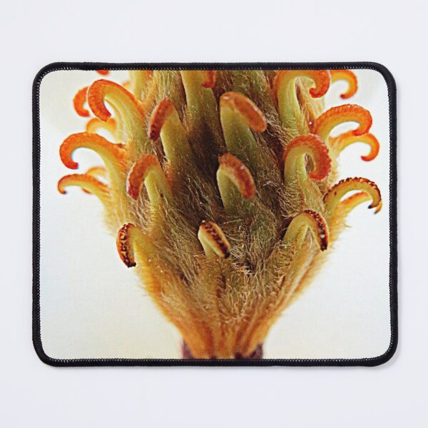 Item preview, Exhilaration designed and sold by Jean Gregory Evans.