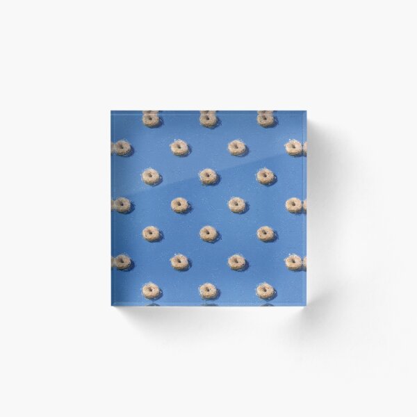 Donut Fun Acrylic Block